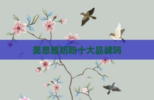 美思雅奶粉十大品牌吗