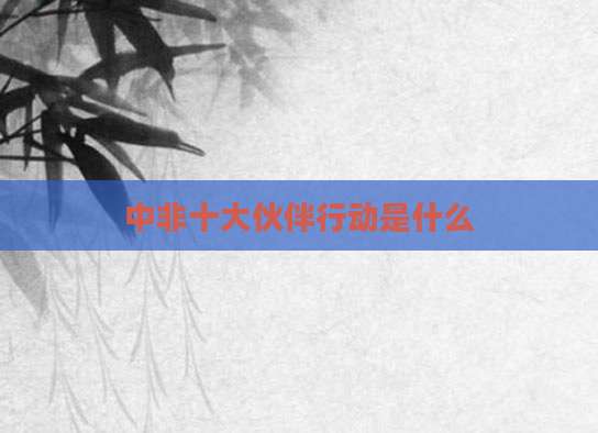 中非十大伙伴行动是什么