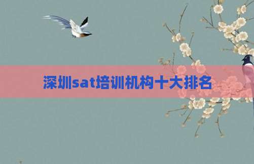 深圳sat培训机构十大排名
