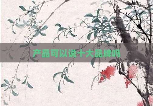 产品可以说十大品牌吗