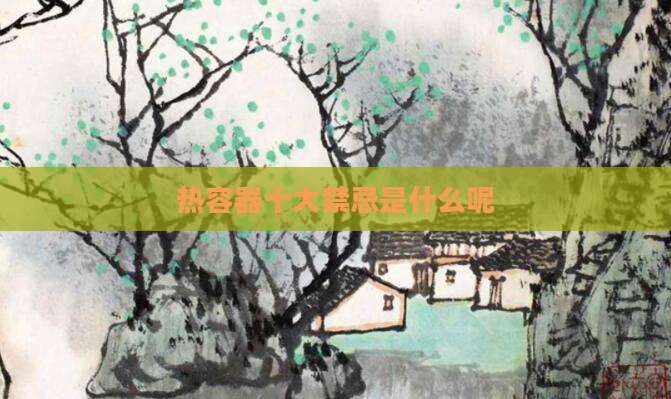 热容器十大禁忌是什么呢