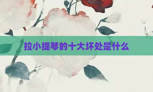 拉小提琴的十大坏处是什么