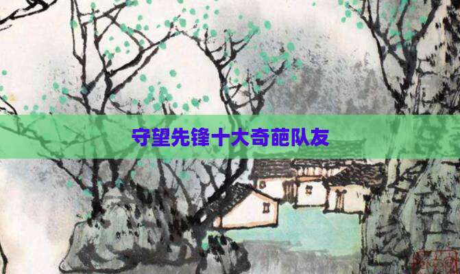 守望先锋十大奇葩队友