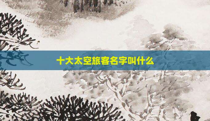 十大太空旅客名字叫什么
