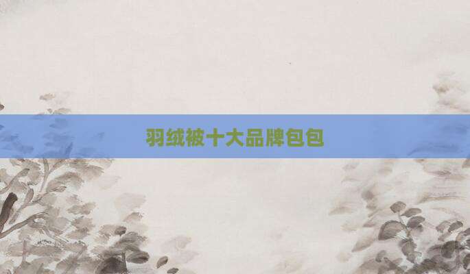 羽绒被十大品牌包包