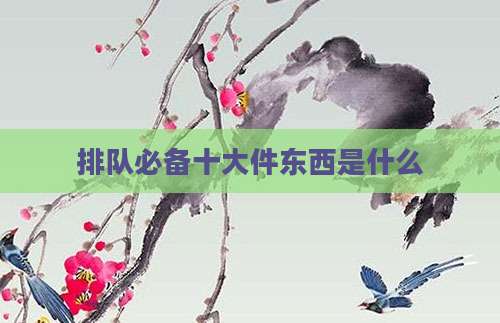 排队必备十大件东西是什么