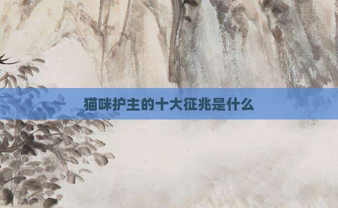 猫咪护主的十大征兆是什么