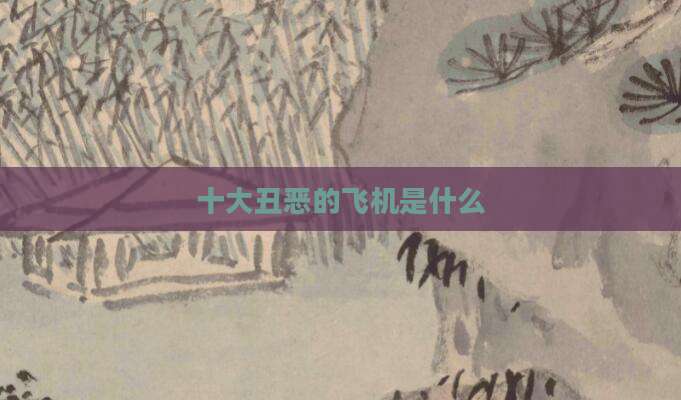 十大丑恶的飞机是什么