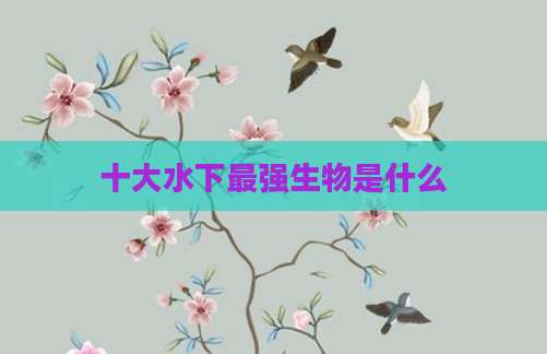 十大水下最强生物是什么
