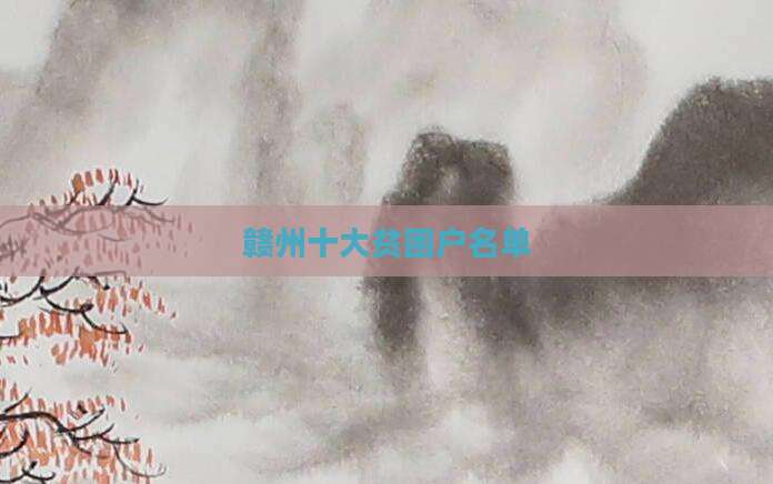 赣州十大贫困户名单