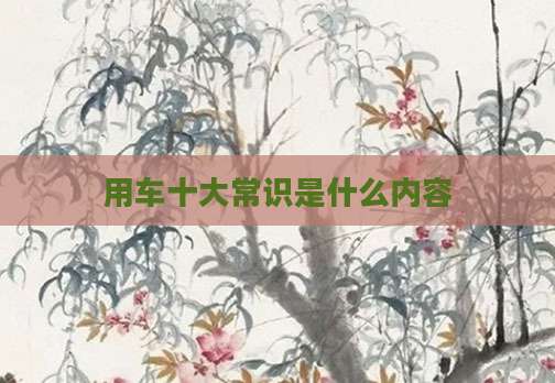 用车十大常识是什么内容