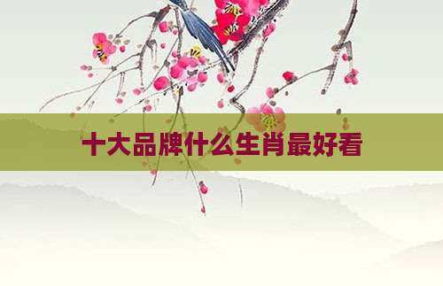 十大品牌什么生肖最好看