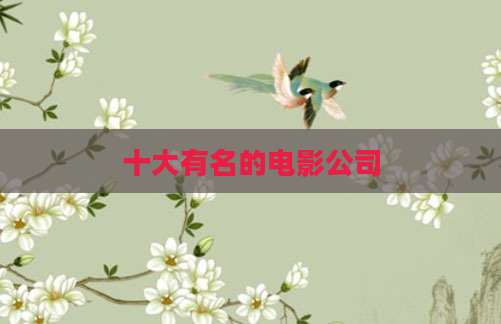 十大有名的电影公司