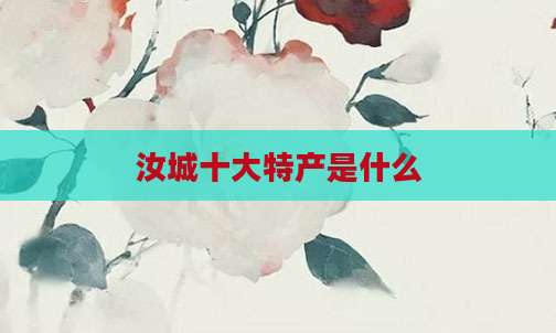 汝城十大特产是什么