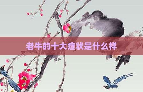 老牛的十大症状是什么样