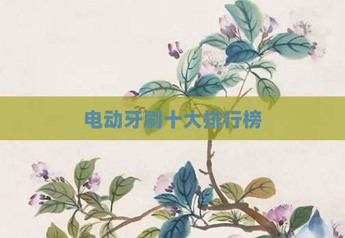 电动牙刷十大排行榜