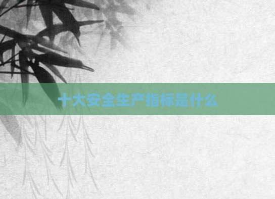 十大安全生产指标是什么
