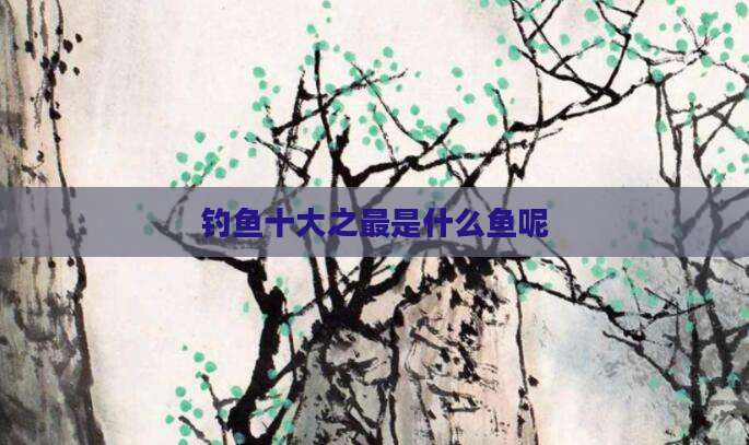 钓鱼十大之最是什么鱼呢