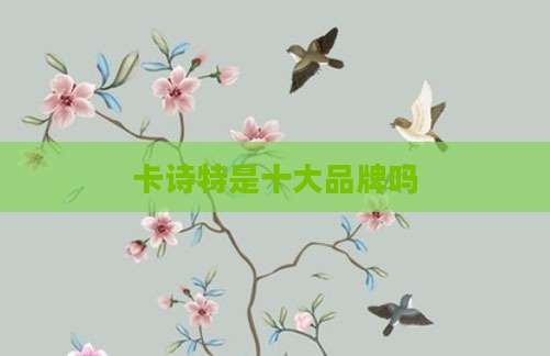 卡诗特是十大品牌吗