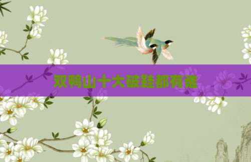 双鸭山十大破鞋都有谁