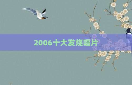 2006十大发烧唱片