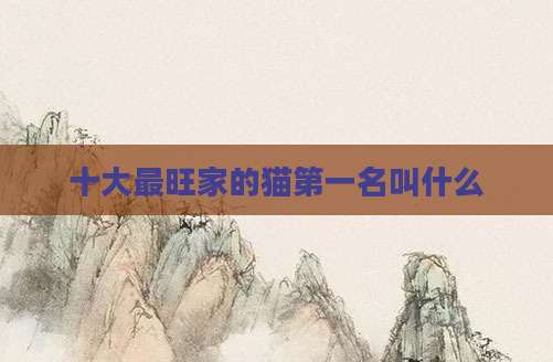 十大最旺家的猫第一名叫什么