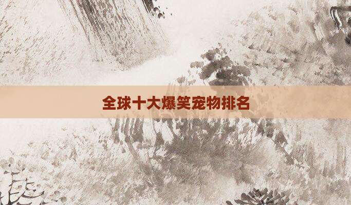 全球十大爆笑宠物排名