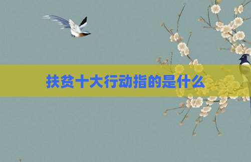 扶贫十大行动指的是什么