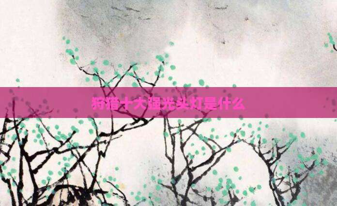 狩猎十大强光头灯是什么