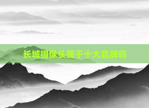长城摄像头属于十大品牌吗