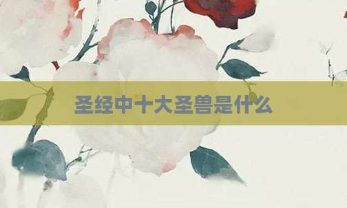 圣经中十大圣兽是什么