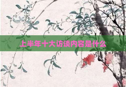 上半年十大访谈内容是什么