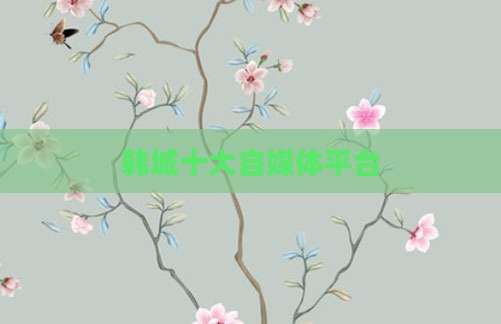 韩城十大自媒体平台
