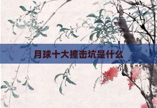 月球十大撞击坑是什么