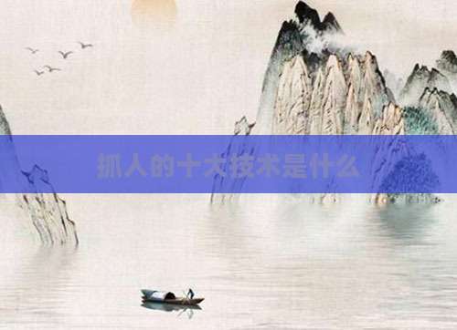 抓人的十大技术是什么