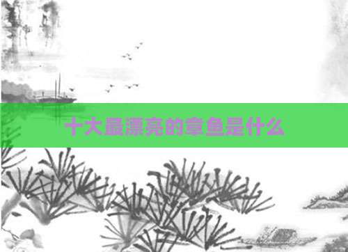 十大最漂亮的章鱼是什么