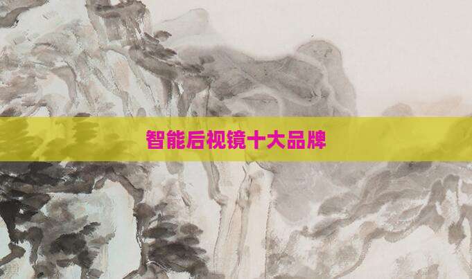 智能后视镜十大品牌