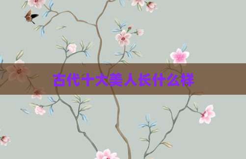 古代十大美人长什么样