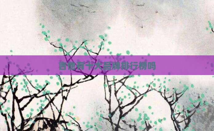 吉他有十大品牌排行榜吗