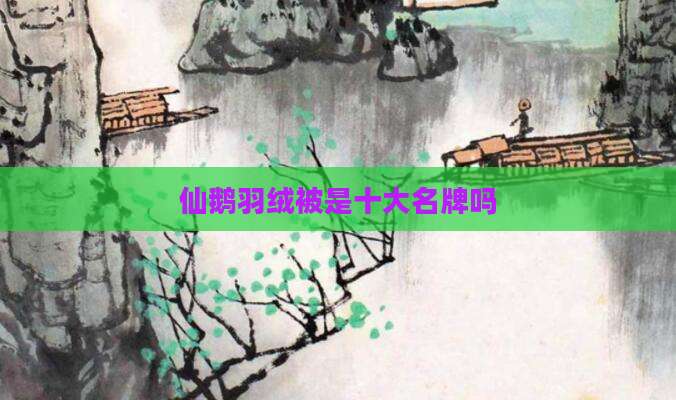 仙鹅羽绒被是十大名牌吗