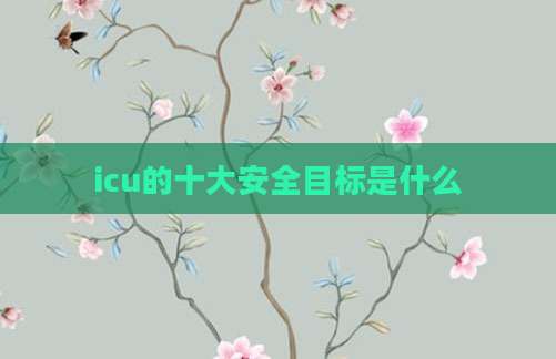 icu的十大安全目标是什么