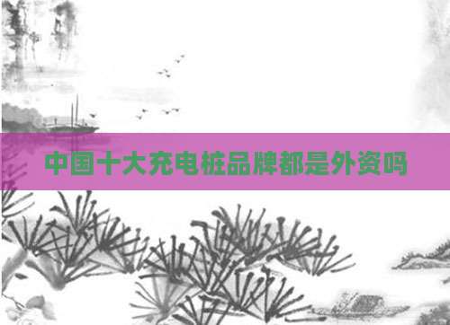 中国十大充电桩品牌都是外资吗