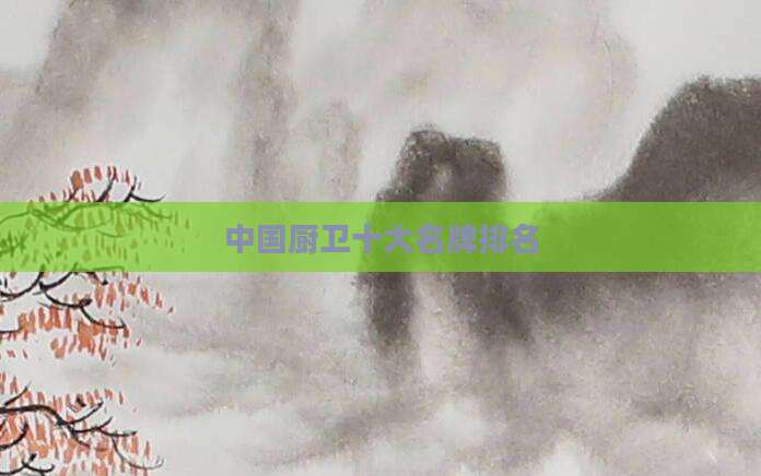 中国厨卫十大名牌排名