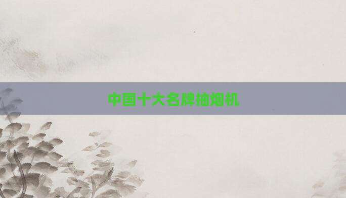 中国十大名牌抽烟机