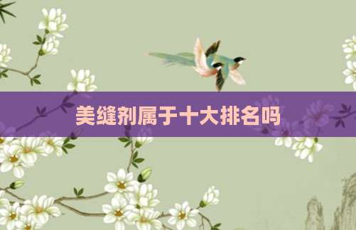美缝剂属于十大排名吗
