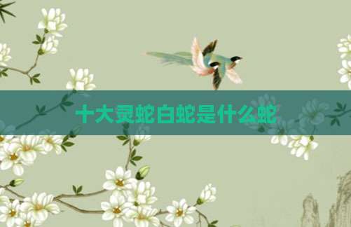 十大灵蛇白蛇是什么蛇