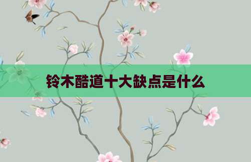 铃木酷道十大缺点是什么