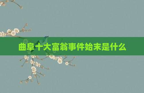 曲阜十大富翁事件始末是什么
