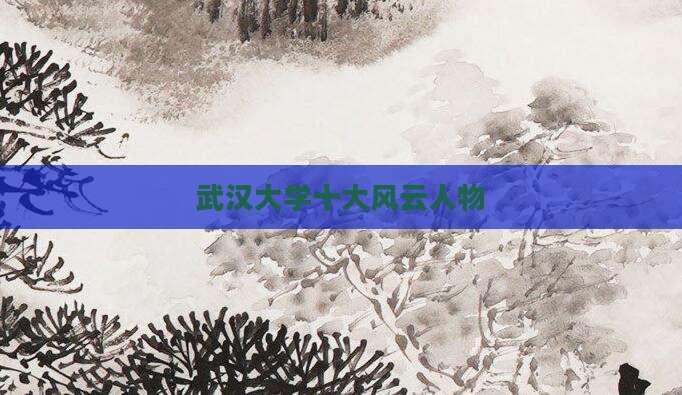 武汉大学十大风云人物