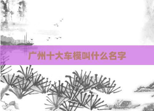 广州十大车模叫什么名字